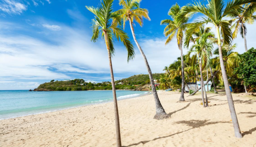 More Choices For Shore Excursions. Better Prices.
