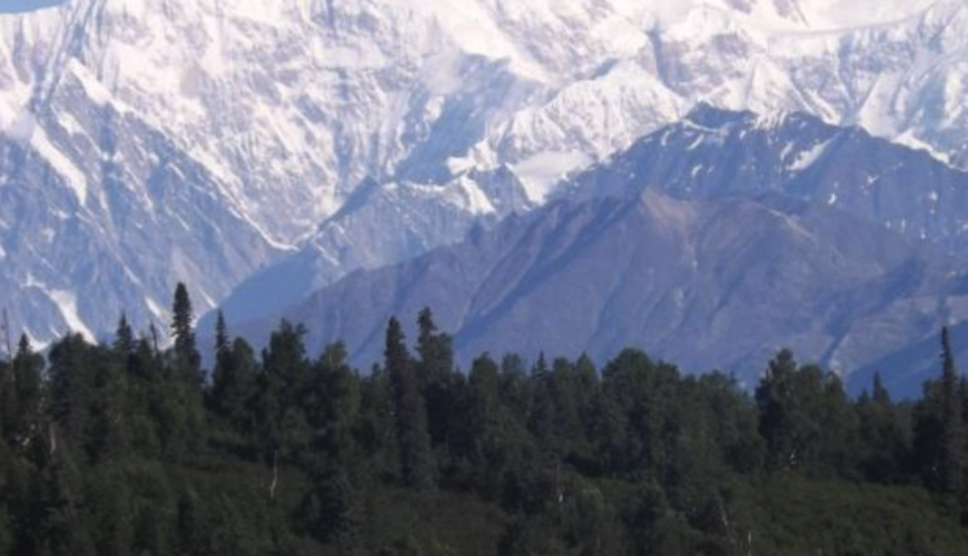 Alaska Interior Excursions