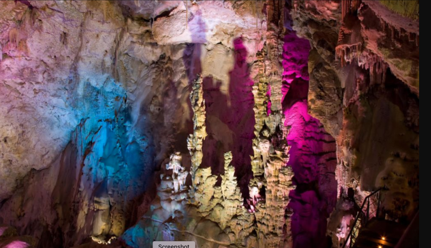 More Choices For Shore Excursions. Better Prices.